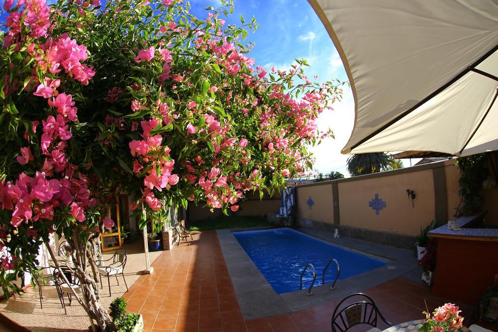 Hotel Puerto De Vega Vallenar Bagian luar foto